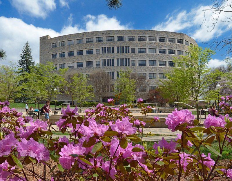 Carol M. Newman Library